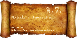 Molnár Tavaszka névjegykártya